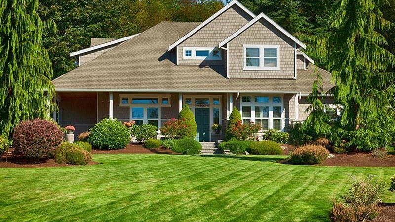 Curb-appeal-protection-home-watch